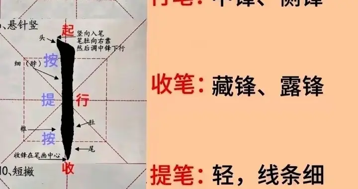 垂露竖和悬针竖，主要是末笔的变化