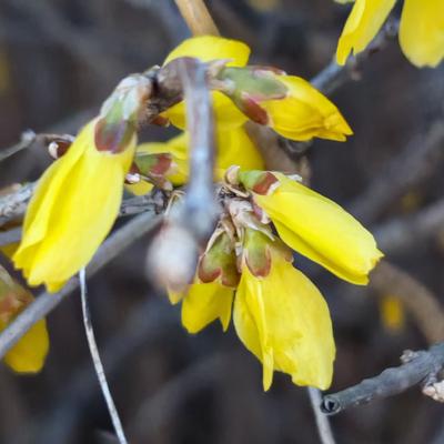 知足常乐868：与痛风斗争的历程207