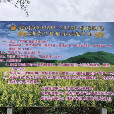 闻史料理4022：有时犯错还真不知道。最