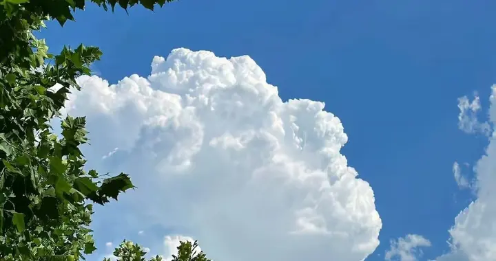 310股派1.61元咋算出30%分红占比？关键不在持股数在这核心数据