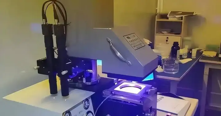 美专家：中国人不可怕，可怕的是他们买了光刻机，却不用来造芯片