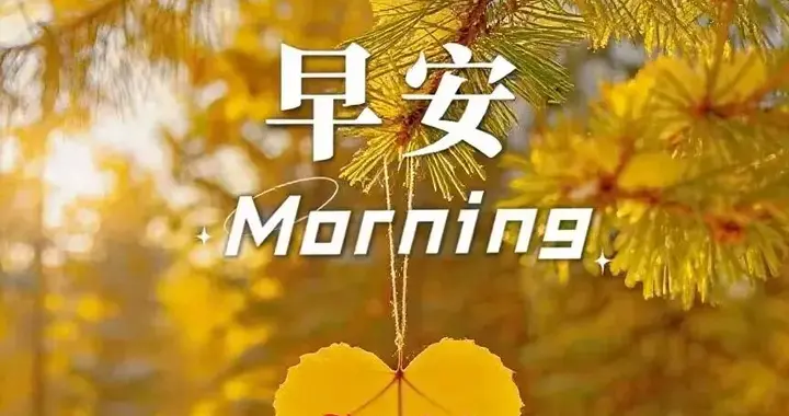 风雨由天，快乐由己，先过好今天，好运自会来临｜早安图片