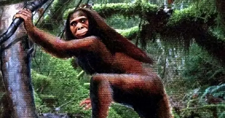 东北仙山长白山：村民自称被女野人掳走，并强迫“传宗接代”？