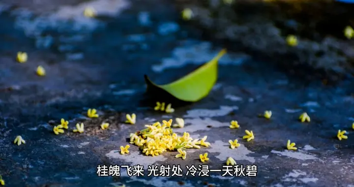 苏轼《念奴娇·中秋》：起舞徘徊风露下，今夕不知何夕？