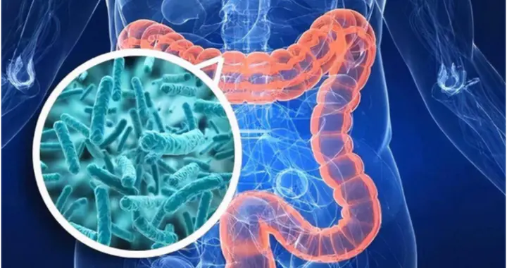 逆转糖尿病，答案竟藏在肠道菌群里？