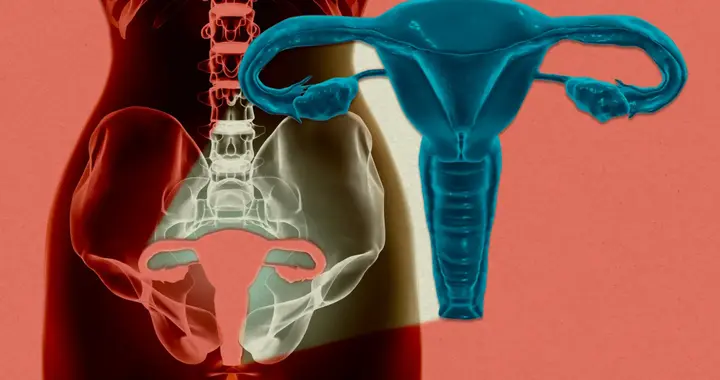 体外子宫存活24小时：生殖医学的新起点还是科幻？