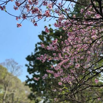 漫漫人生：，踏