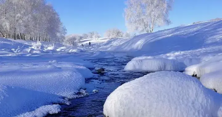 散文诗‖冬韵里的月光曲