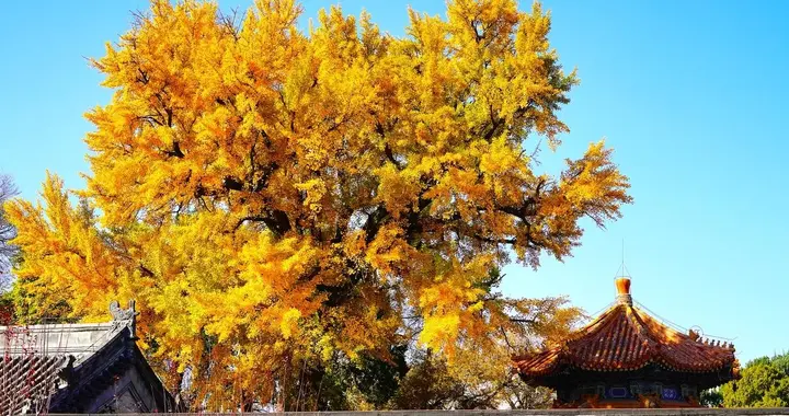 这一次，中国不会给日本投机分子任何机会