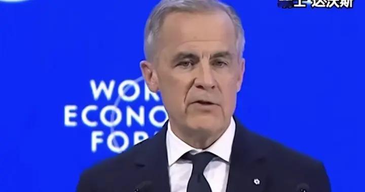 2026年：非美外交玩转世界变局元年，防火防盗防特朗普成共识
