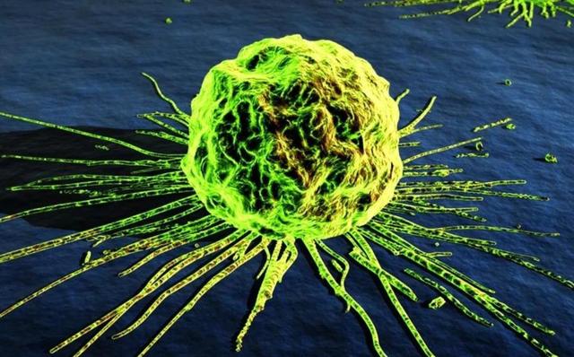 癌细胞或“讨厌”6种碱性食物，别舍不得吃，为健康助力