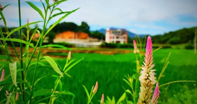 深夜的第101条消息