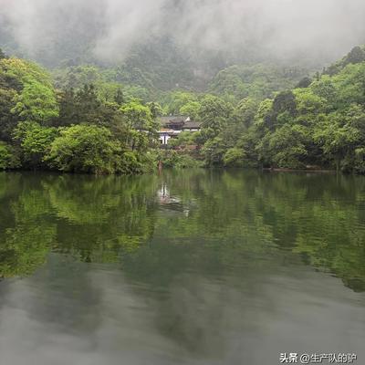 生产队的驴：都江堰个人感觉看点不多，最舒