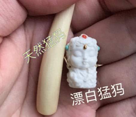 猛犸象牙怎么看是不是漂白过的？