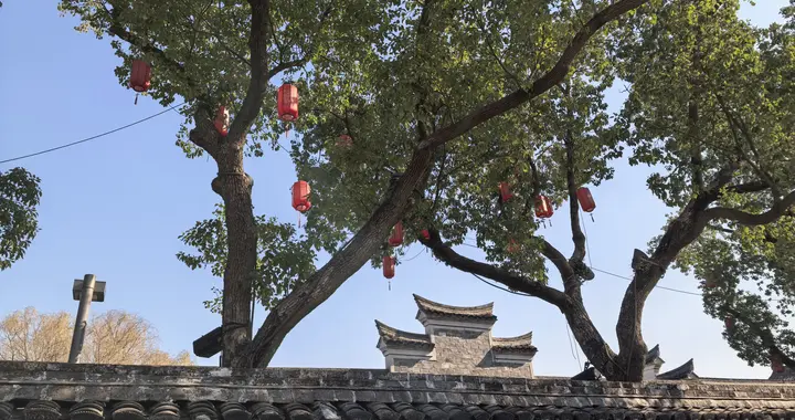 我们为什么会如此的固执？