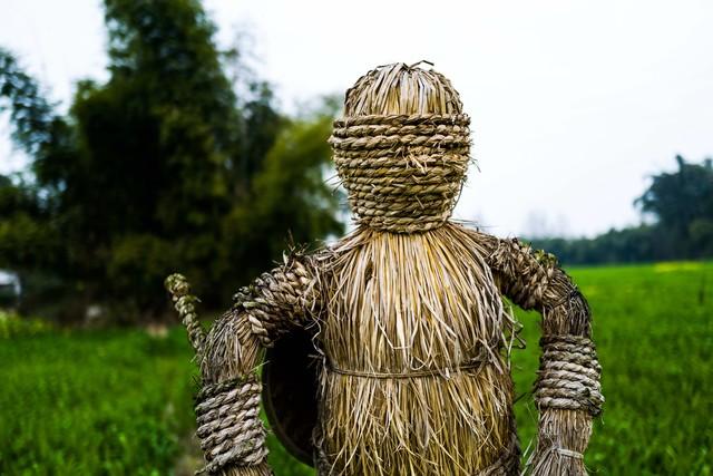 张二棍诗歌《稻草人》鉴赏：奄奄一息时抓几根稻草，塞进躯体续命