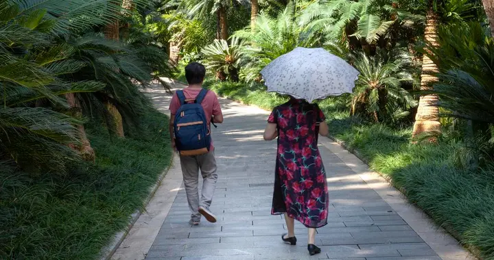为什么人过60后，出门旅行能跟团，就不要选择自由行？