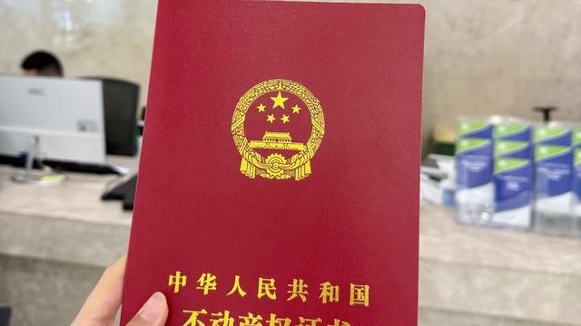 冈上望流云：公公说要把房子过户给姑姐，问