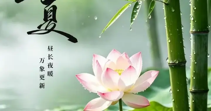 🌻希望这个夏天，能放“夏”烦恼，卸“夏”疲惫，烦恼少一点