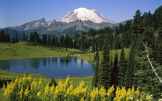 层次低的人，很喜欢用三种微信头像，最好别深交