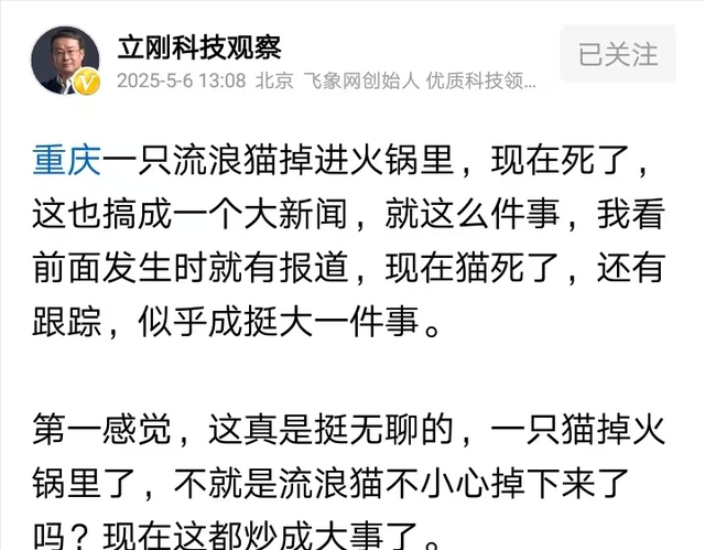 项立刚：一只猫掉锅里成了大新闻，说明我们生活好了，有闲心