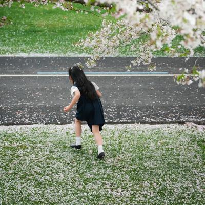 不日远游Parker：前阵子看到个说法