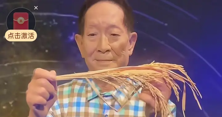 2024中国农村大变样，粮食、收入、环境全升级，这波操作太给劲！