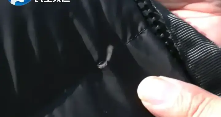 羽绒服变“羽毛服”？河南男子花1599元遭遇“假货门”引全民热议