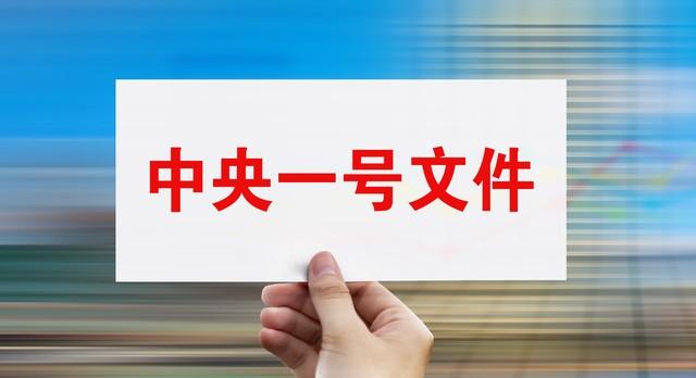 从中央一号文件分析2025年公务员申论如何备考