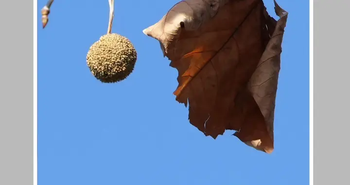 世界上最愚蠢的行为，就是讲道理