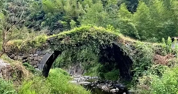 青山古道的“青”与“红”