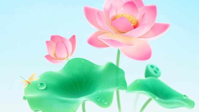 汤姐的大千世界：我和