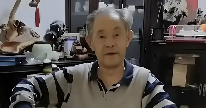 南京博物院原院长徐湖平已被带走，这次他能够安全过关吗？