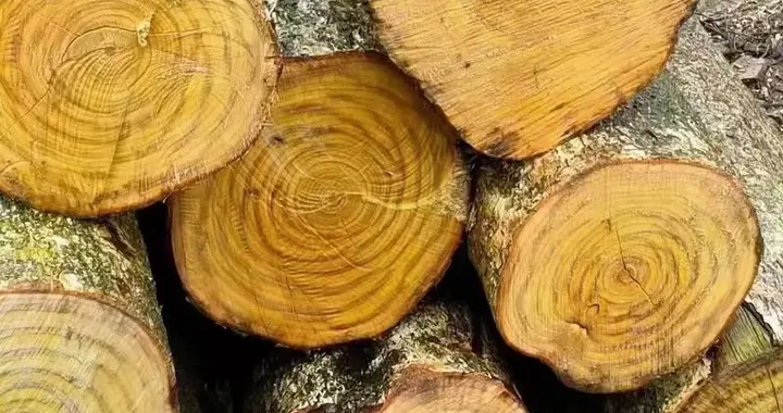 鼻咽癌中医中药分型治疗参考