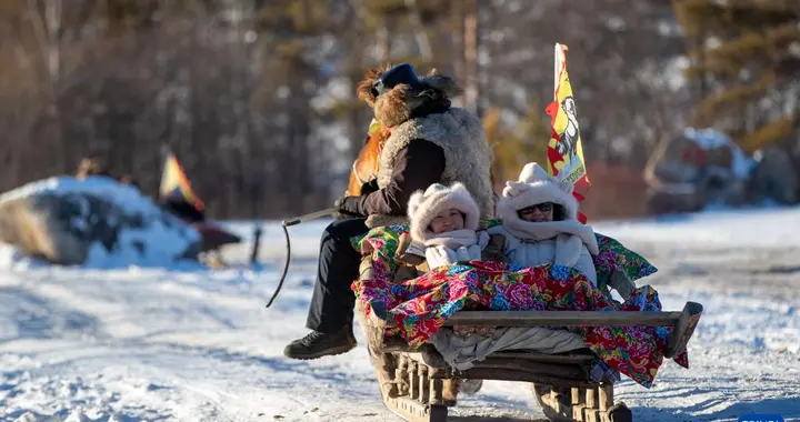 反向流放宁古塔？南方人抢坐马拉爬犁嗨翻东北
