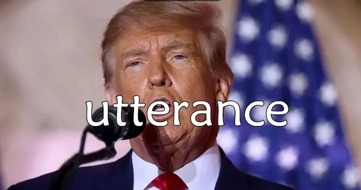 每日单词：utterance