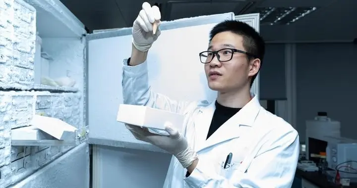清北毕业生正在批量回国？美国“驱赶”精英，中国成为最大赢家？
