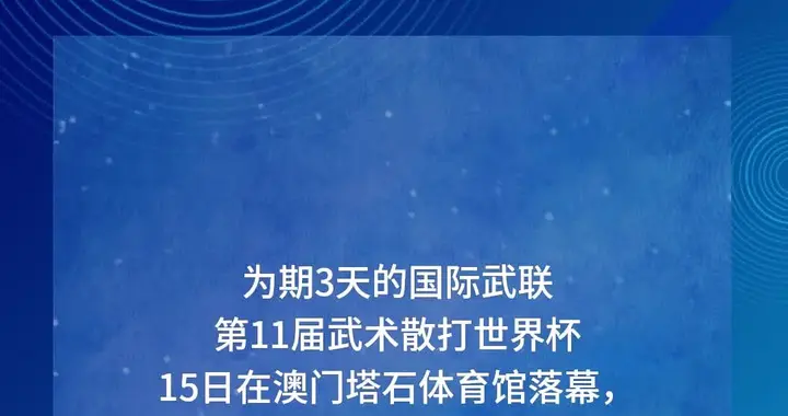 武术散打世界杯闭幕  中国队获七金列榜首