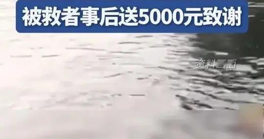 五年级孩子，狗刨救下四条命！这胆量谁不竖大拇指