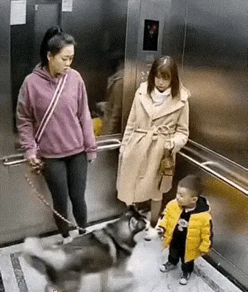 燕京京：都说养狗的人有爱心，真的有吗？一