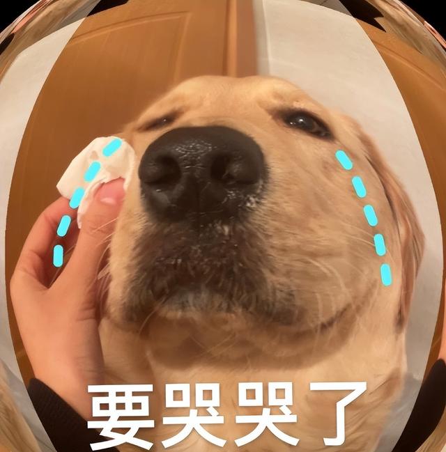 苹果用户iOS18别急着更新！4个常用功能大变样，优缺点都一起说