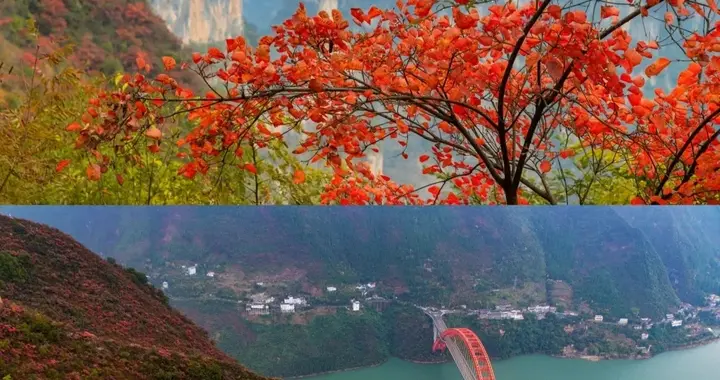 人生建议：11月份一定要去三峡徒步看红叶