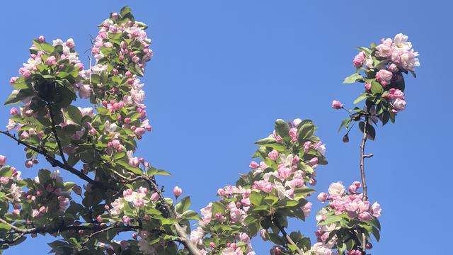 蒲根蒲草：今天气温一下飙到了26℃，感觉
