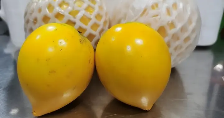 黄金果是什么水果？你真的吃过吗？