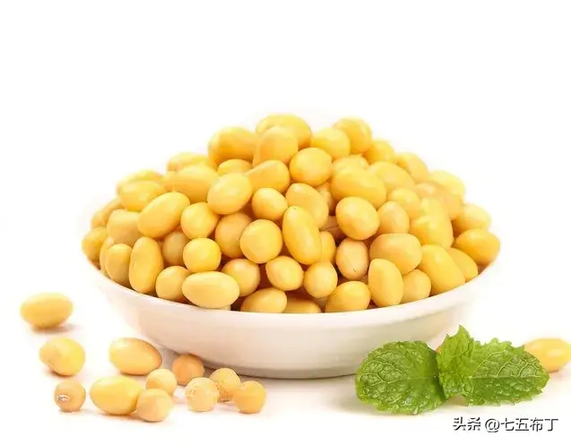 黄豆（五）