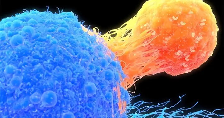 人不会无缘无故患癌症！研究发现：得癌症的人，离不开这5点