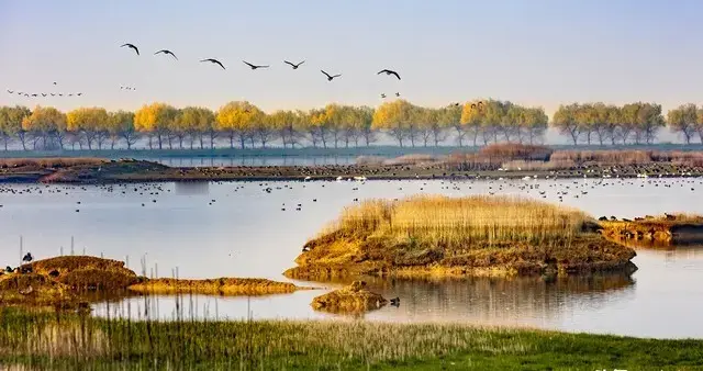 婚姻里，最可怕的不是吵架，而是懒得吵了，你中招了吗
