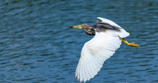 存在都是合理的，沙洲变绿洲，山川披锦绣‖秀川