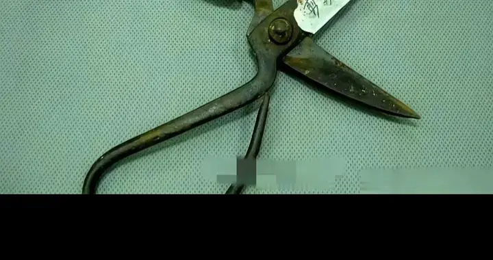 “狗咬人案”反转：刀没DNA、剪刀失踪，死者妻子突然“佛系”？