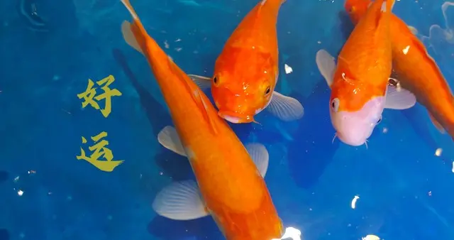 命里藏金！这5个农历生日尾数，福气满满好运挡都挡不住！